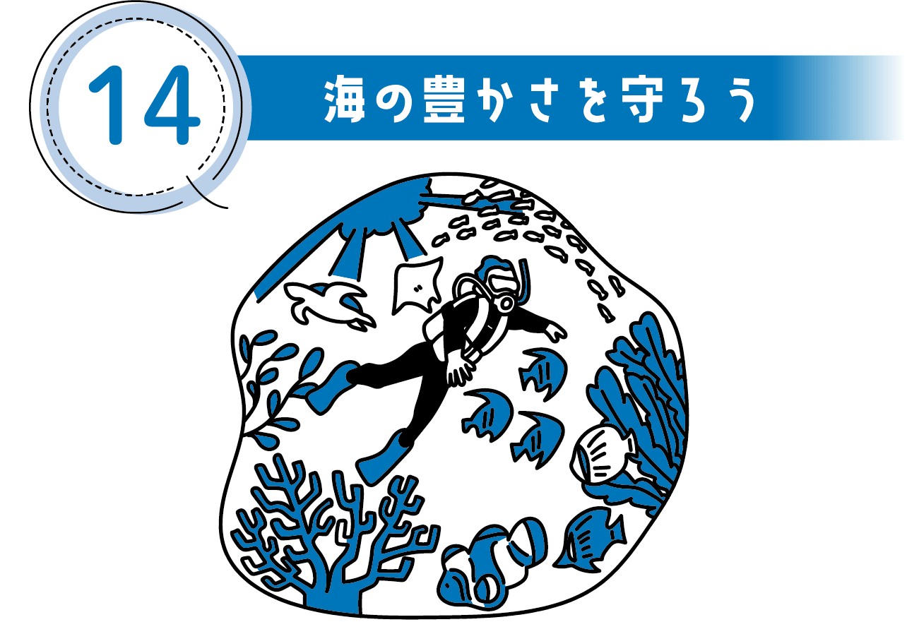 14 海の豊かさを守ろう